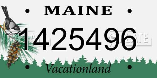1425496 Maine License Plate
