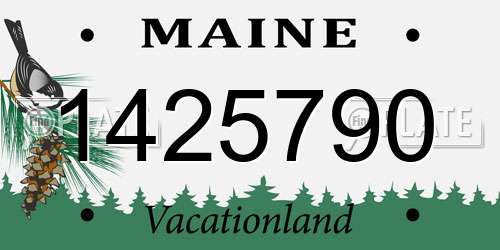 1425790 Maine License Plate