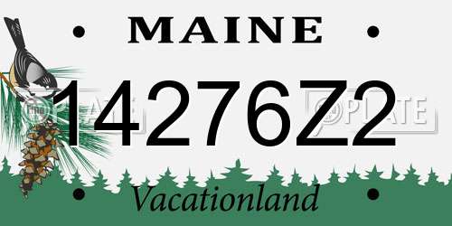 14276Z2 Maine License Plate