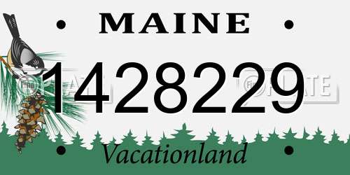 1428229 Maine License Plate