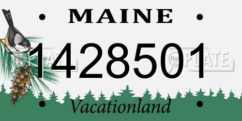 1428501 Maine License Plate