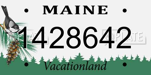1428642 Maine License Plate