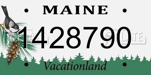 1428790 Maine License Plate