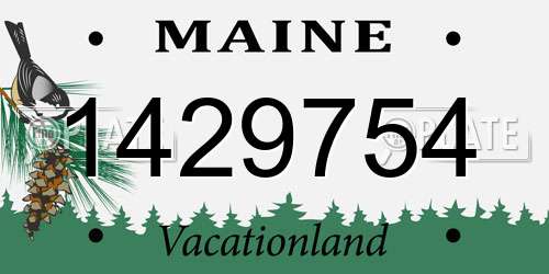 1429754 Maine License Plate