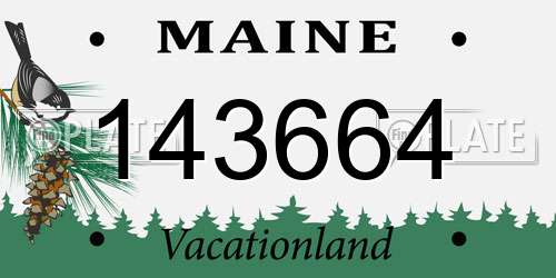 143664 Maine License Plate
