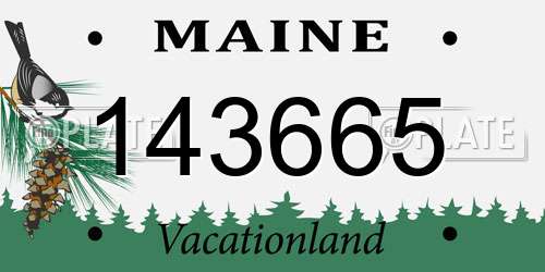 143665 Maine License Plate