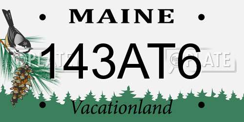 143AT6 Maine License Plate