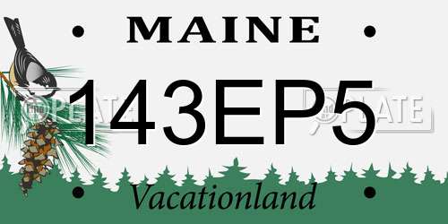 143EP5 Maine License Plate