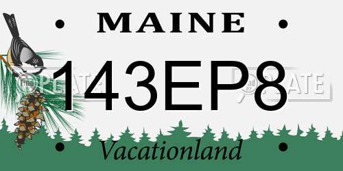 143EP8 Maine License Plate