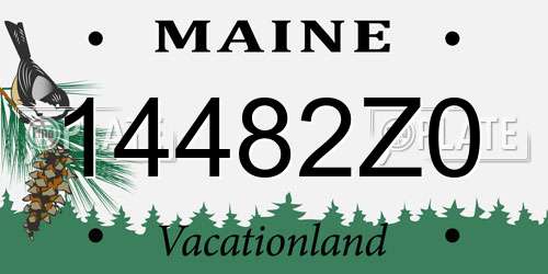14482Z0 Maine License Plate