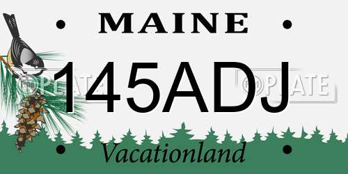 145ADJ Maine License Plate