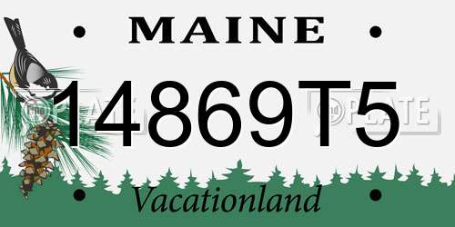 14869T5 Maine License Plate