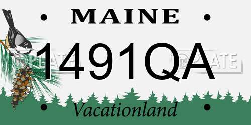 1491QA Maine License Plate