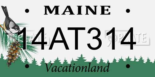 14AT314 Maine License Plate