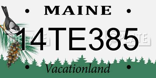 14TE385 Maine License Plate