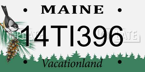 14TI396 Maine License Plate