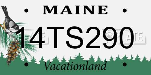 14TS290 Maine License Plate