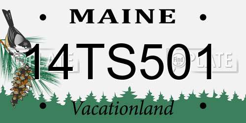 14TS501 Maine License Plate