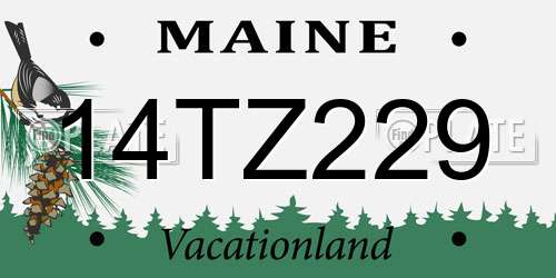 14TZ229 Maine License Plate