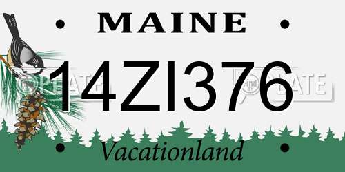 14ZI376 Maine License Plate
