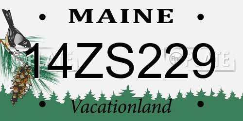 14ZS229 Maine License Plate