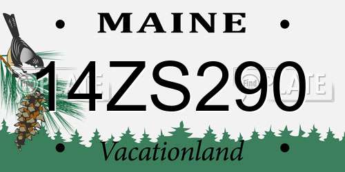 14ZS290 Maine License Plate