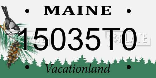 15035T0 Maine License Plate