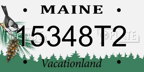 15348T2 Maine License Plate