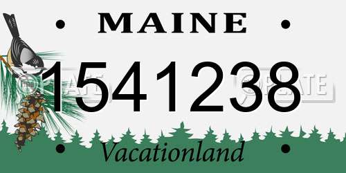 1541238 Maine License Plate