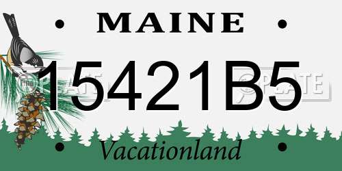 15421B5 Maine License Plate