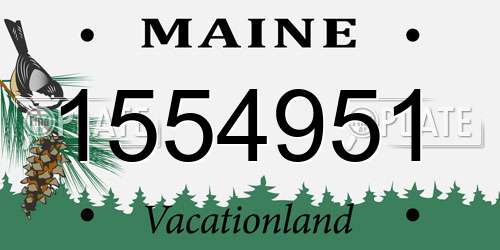 1554951 Maine License Plate