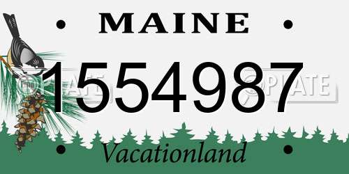 1554987 Maine License Plate