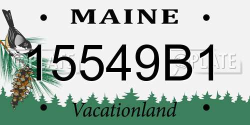 15549B1 Maine License Plate
