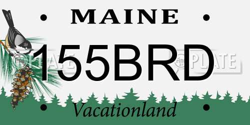 155BRD Maine License Plate