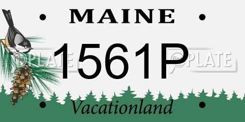 1561P Maine License Plate