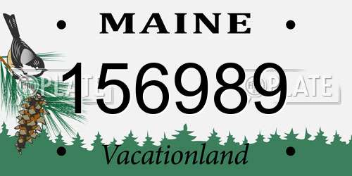 156989 Maine License Plate