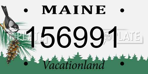156991 Maine License Plate