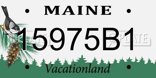 15975B1 Maine License Plate
