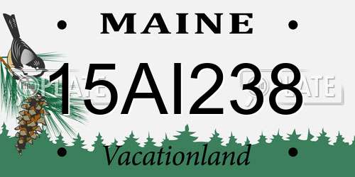 15AI238 Maine License Plate
