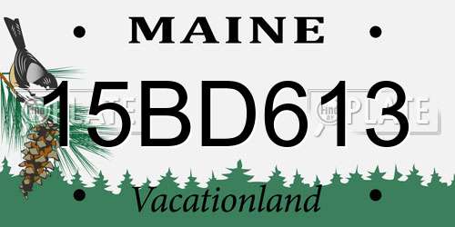 15BD613 Maine License Plate