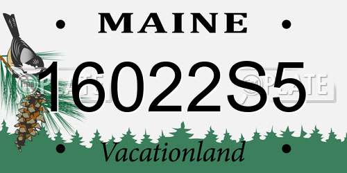 16022S5 Maine License Plate