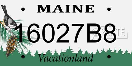16027B8 Maine License Plate