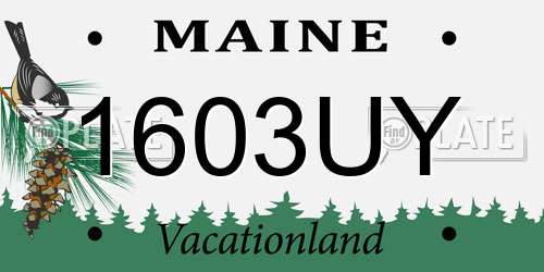 1603UY Maine License Plate
