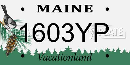 1603YP Maine License Plate
