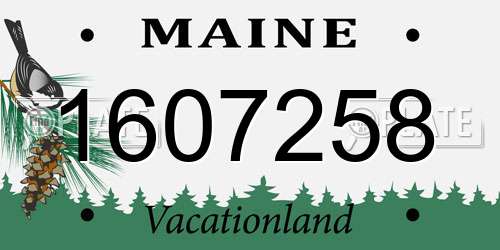 1607258 Maine License Plate