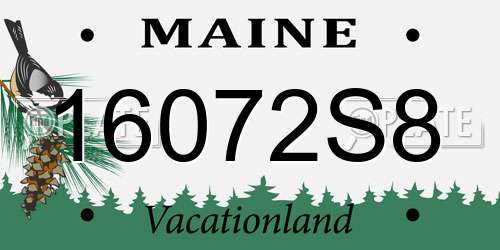16072S8 Maine License Plate