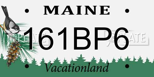 161BP6 Maine License Plate