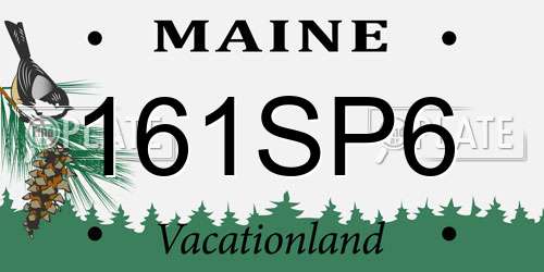 161SP6 Maine License Plate