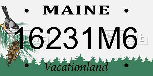 16231M6 Maine License Plate