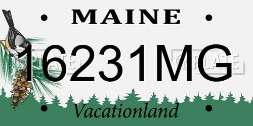 16231MG Maine License Plate